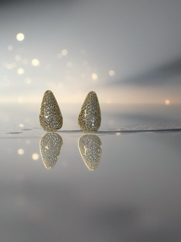 Earring #158